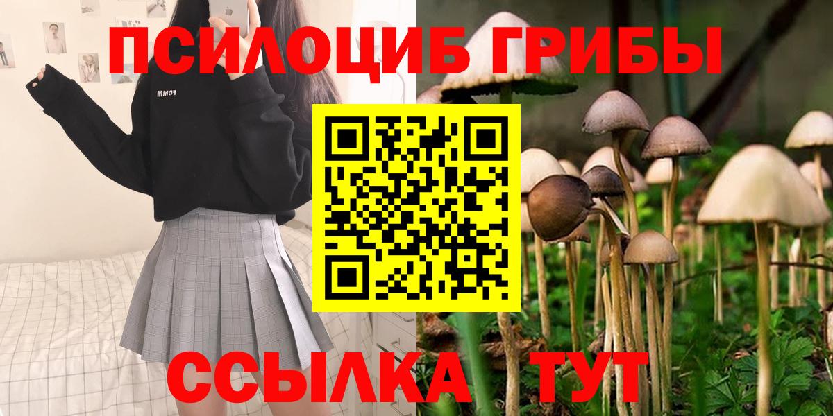 Псилоцибиновые грибы Magic Shrooms Ковров